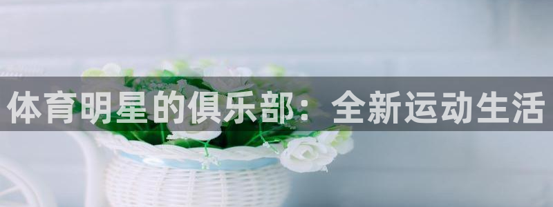 MK体育官方集团官网：体育明星的俱乐部：全新运动生活