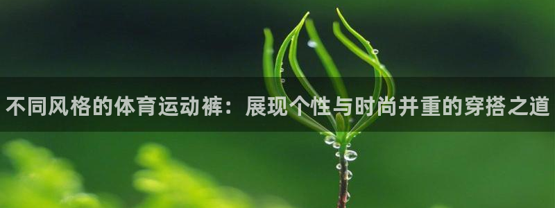 MK体育官网下载平台注册流程图：不同风格的体育运动裤