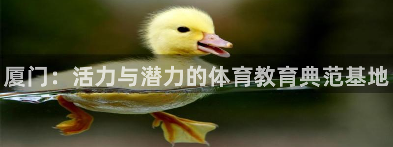 MK体育官方正版app娱乐是那个系列的台子：厦门：活