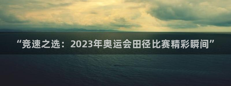 MK体育官方正版app娱乐下载：“竞速之选：2023