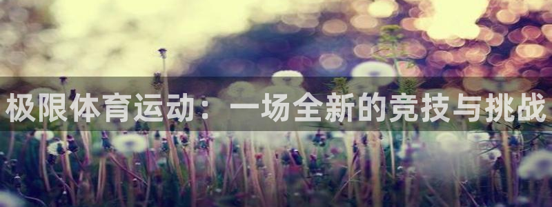 MK体育官方正版app集团官网网址：极限体育运动：一