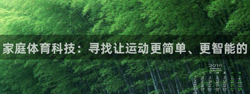 德国MK体育官方正版app集团：家庭体育科技：寻找让运动更简