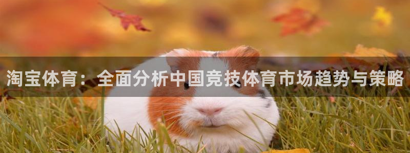 MK体育官方正版app集团：淘宝体育：全面分析中国竞