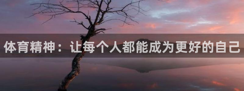 MK体育官方正版app神州：体育精神：让每个人都能成