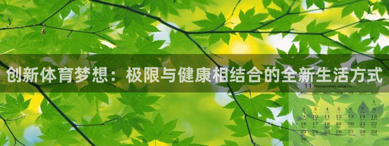 海南MK体育官网下载：创新体育梦想：极限与健康相结合