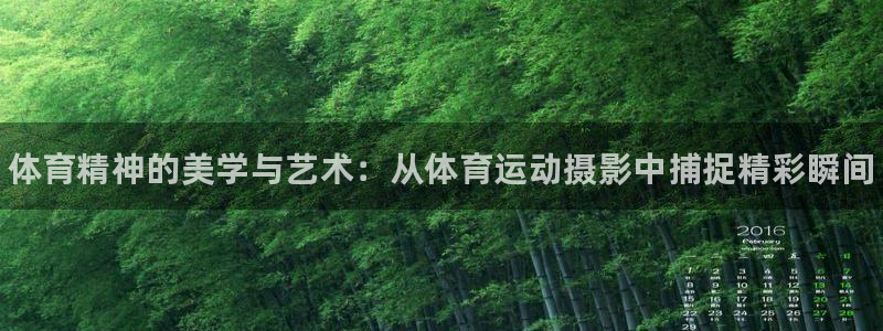 MK体育官方正版app娱乐下载：体育精神的美学与艺术