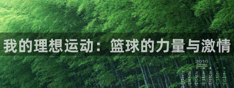 MK体育官网下载是干嘛的公司：我的理想运动：篮球的力