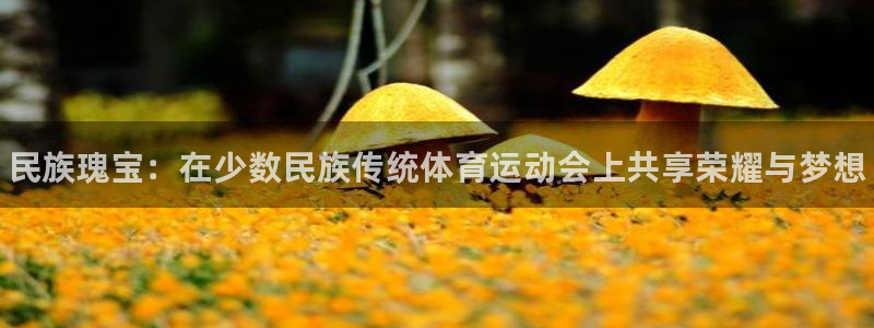 MK体育官网下载招商电话是多少啊：民族瑰宝：在少数民