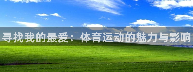 MK体育官方正版app集团官网首页：寻找我的最爱：体