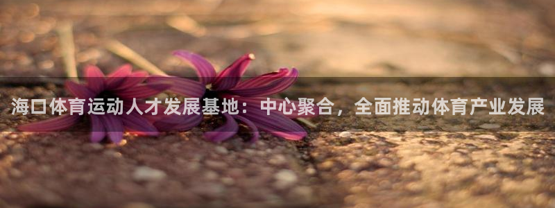 MK体育官网下载招商电话地址：海口体育运动人才发展基