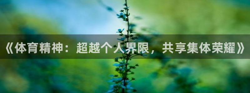 MK体育官方正版app娱乐平台