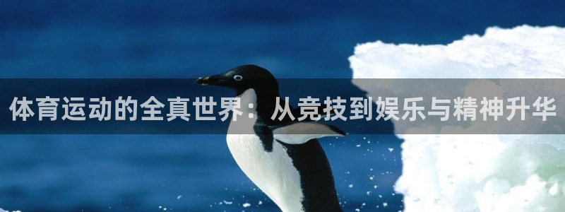 MK体育官方正版app集团logo：体育运动的全真世
