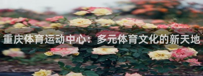 MK体育官网下载开户：重庆体育运动中心：多元体育文化的新天地