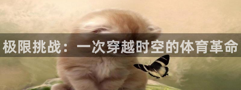 海南MK体育官网下载：极限挑战：一次穿越时空的体育革命