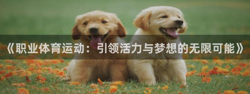 MK体育官方正版app集团官网首页