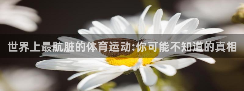 MK体育官方正版app娱乐下载：世界上最肮脏的体育运