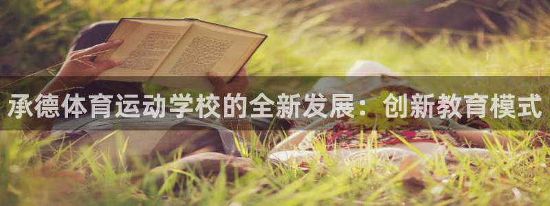 MK体育官方正版app代理