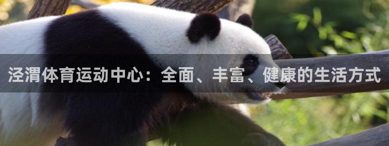 海南MK体育官网下载：泾渭体育运动中心：全面、丰富、健康的生