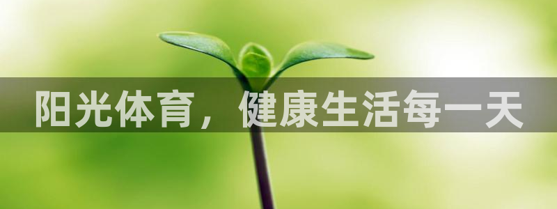 MK体育官网下载是干嘛的公司