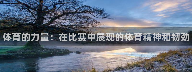 MK体育官网下载平台是正规平台吗知乎：体育的力量：在比赛中展