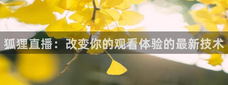 体育直播919：狐狸直播：改变你的观看体验的最新技术