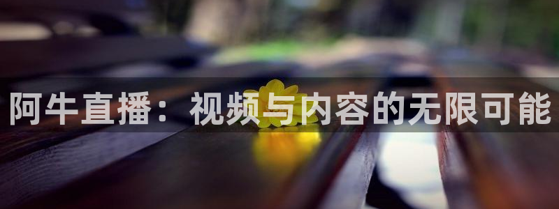919体育直播高清在线观看：阿牛直播：视频与内容的无限可能