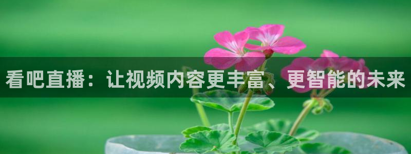 919直播看球下载：看吧直播：让视频内容更丰富、更智能的未来