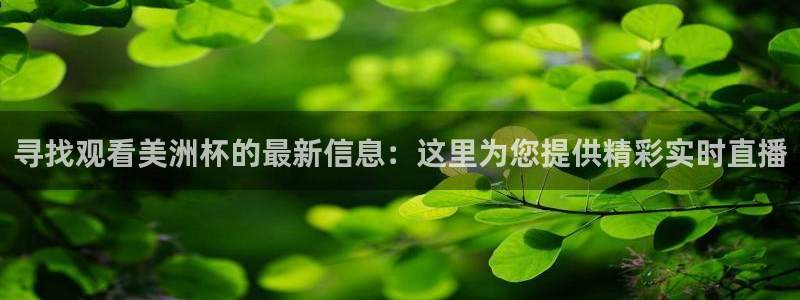 919体育专业直播平台