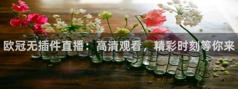 919体育直播安卓版：欧冠无插件直播：高清观看，精彩时刻等你来