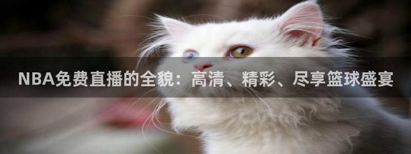 01zbtv直播体育919：NBA免费直播的全貌：高清、精彩、尽享篮球盛宴