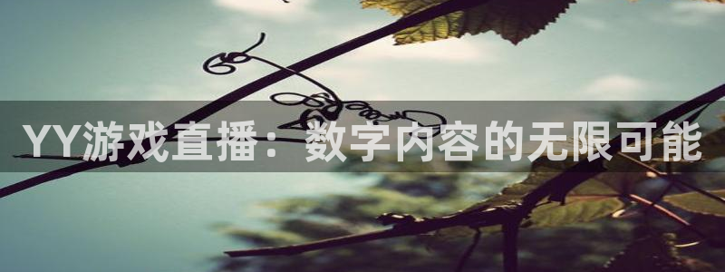 919直播体育在线直播在线看：YY游戏直播：数字内容的无限可能