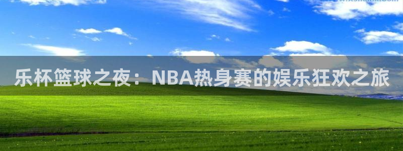 919直播看球下载：乐杯篮球之夜：NBA热身赛的娱乐狂欢之旅
