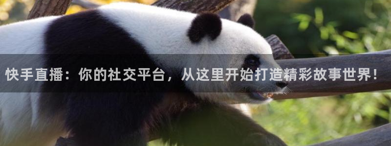 919足球直播：快手直播：你的社交平台，从这里开始打造精彩故事世界！